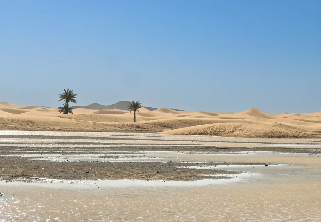 10 days Morocco off-road motorcycle tour, Atlas Mountains motorcycle adventure, Erg Chebbi motorcycle trip, High Atlas motorcycle ride. Draa Valley motorcycle itinerary
Todra Gorge motorbike experience
Morocco desert motorcycle ride
High Atlas motorbike route
Palm oasis motorbike tour